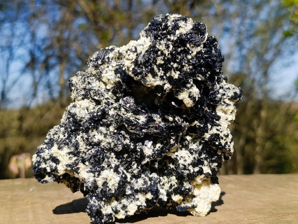 Natural Large Schorl Black Tourmaline Specimen x 1 From Erongo, Namibia - Toprock Gemstones and Minerals 
