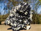 Natural Large Schorl Black Tourmaline Specimen x 1 From Erongo, Namibia - Toprock Gemstones and Minerals 