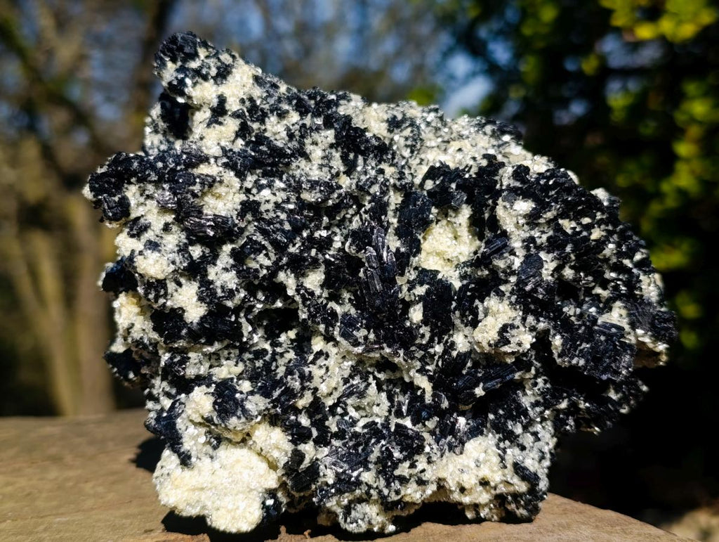 Natural Large Schorl Black Tourmaline Specimen x 1 From Erongo, Namibia - Toprock Gemstones and Minerals 