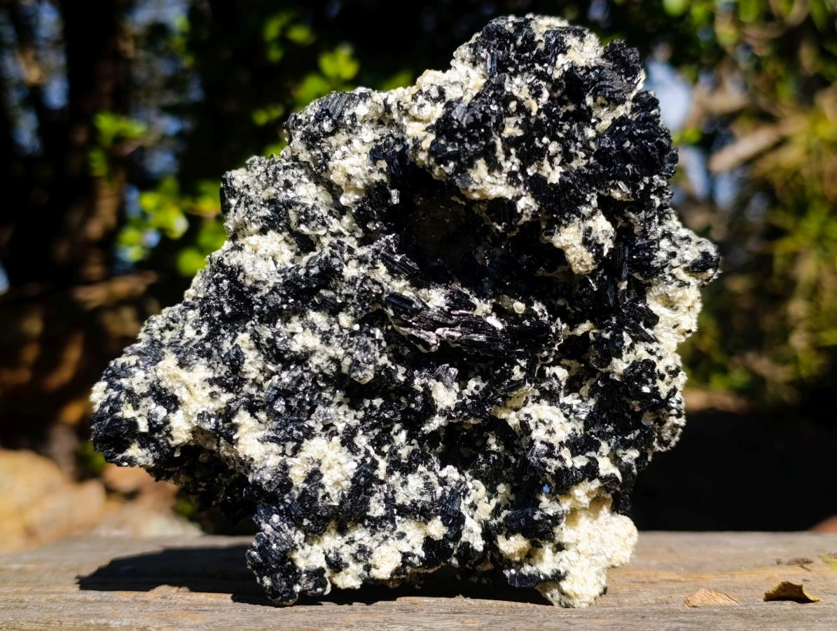 Natural Large Schorl Black Tourmaline Specimen x 1 From Erongo, Namibia - Toprock Gemstones and Minerals 