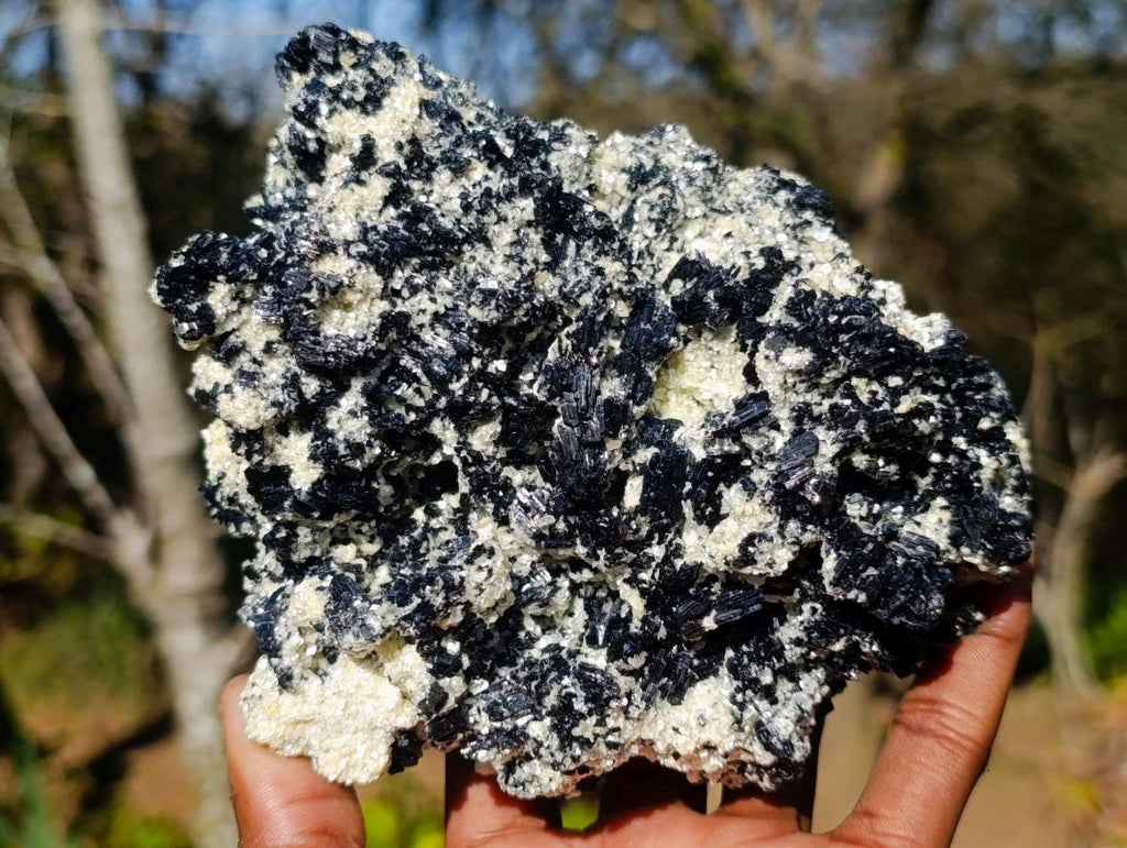 Natural Large Schorl Black Tourmaline Specimen x 1 From Erongo, Namibia - Toprock Gemstones and Minerals 