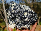 Natural Large Schorl Black Tourmaline Specimen x 1 From Erongo, Namibia - Toprock Gemstones and Minerals 