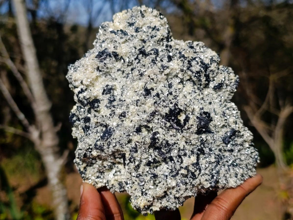 Natural Large Schorl Black Tourmaline Specimen x 1 From Erongo, Namibia - Toprock Gemstones and Minerals 