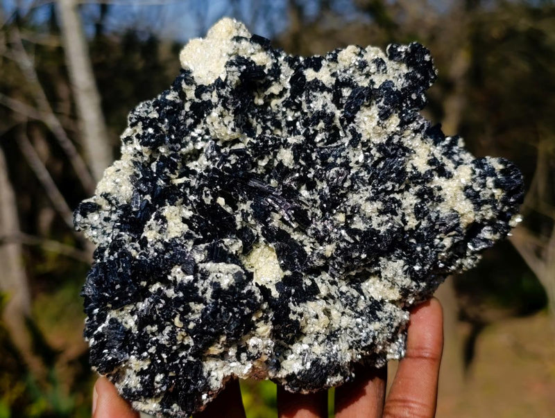 Natural Large Schorl Black Tourmaline Specimen x 1 From Erongo, Namibia - Toprock Gemstones and Minerals 