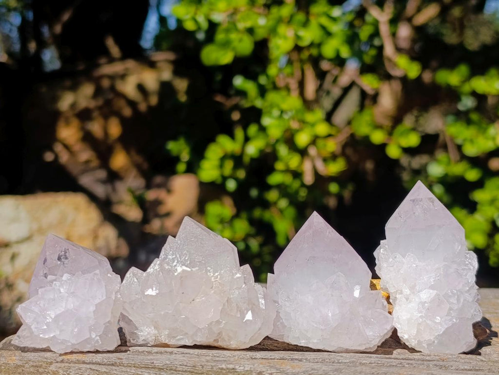 Natural Lilac Spirit Amethyst Clusters with Cactus Flower Formations x 12 From Boekenhouthoek, South Africa - Toprock Gemstones and Minerals 