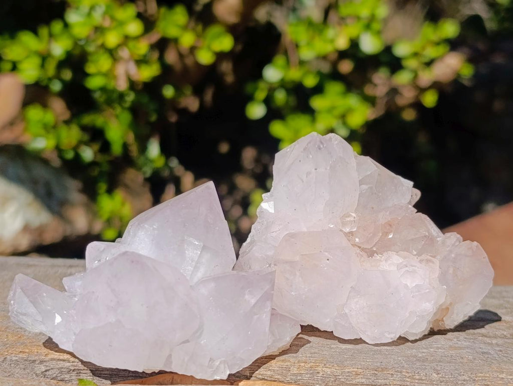 Natural Lilac Spirit Amethyst Clusters with Cactus Flower Formations x 12 From Boekenhouthoek, South Africa - Toprock Gemstones and Minerals 