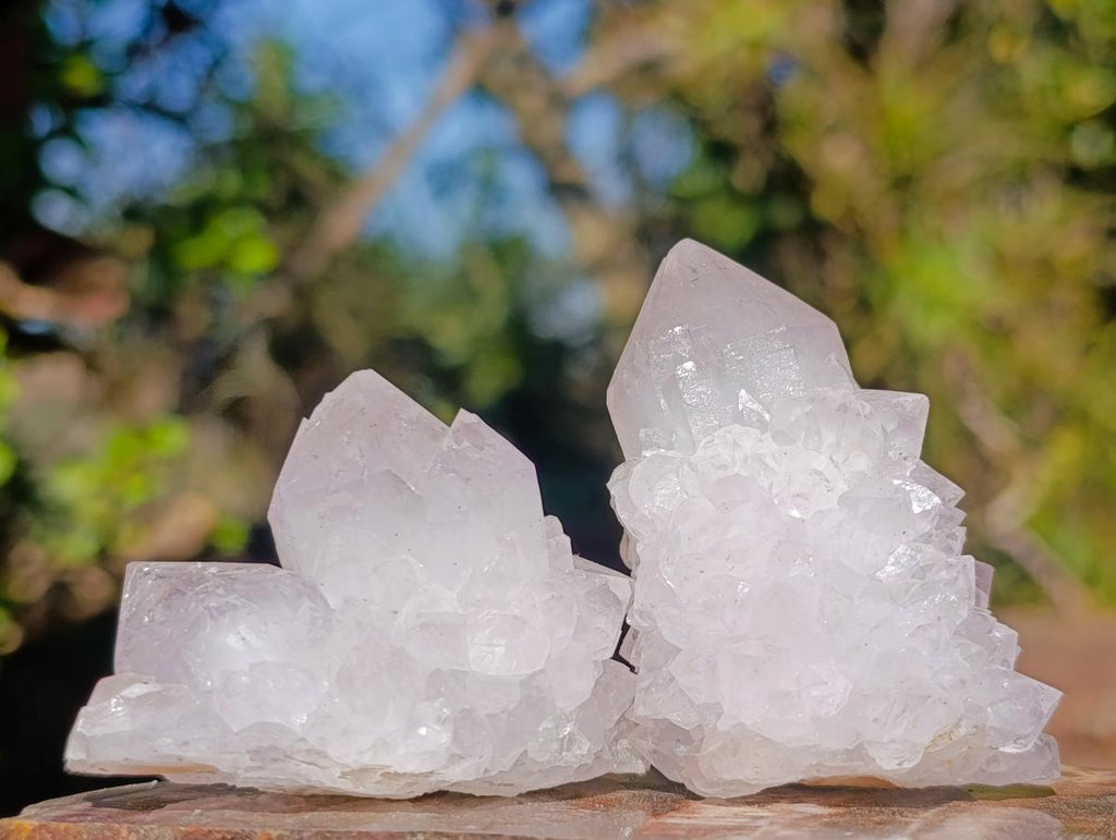 Natural Lilac Spirit Amethyst Clusters with Cactus Flower Formations x 12 From Boekenhouthoek, South Africa - Toprock Gemstones and Minerals 