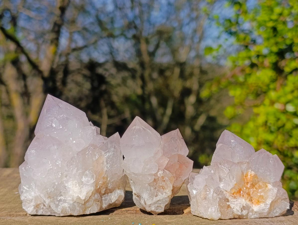 Natural Lilac Spirit Amethyst Clusters with Cactus Flower Formations x 12 From Boekenhouthoek, South Africa - Toprock Gemstones and Minerals 