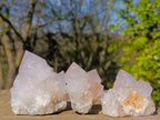 Natural Lilac Spirit Amethyst Clusters with Cactus Flower Formations x 12 From Boekenhouthoek, South Africa - Toprock Gemstones and Minerals 
