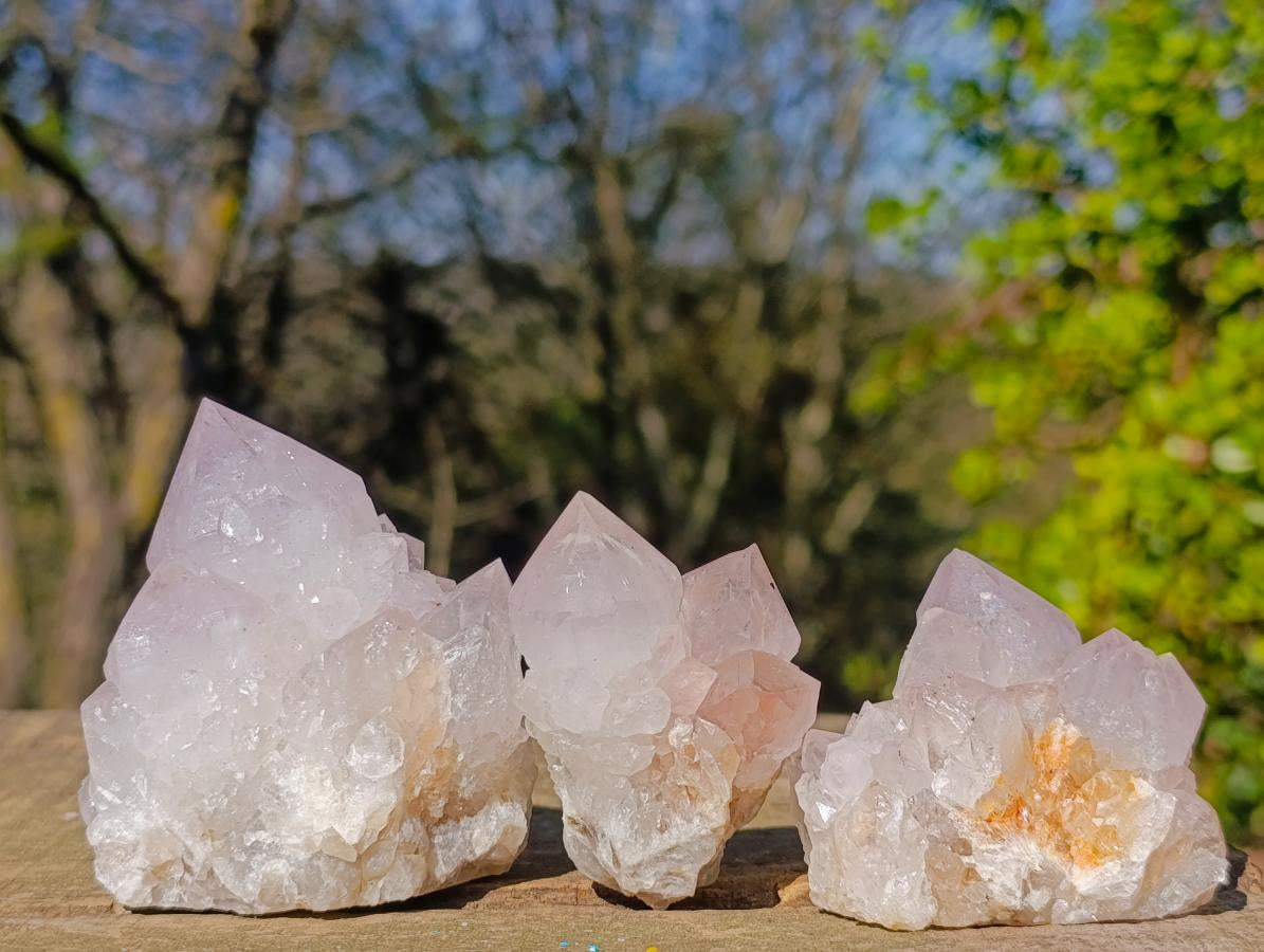 Natural Lilac Spirit Amethyst Clusters with Cactus Flower Formations x 12 From Boekenhouthoek, South Africa - Toprock Gemstones and Minerals 