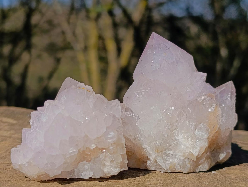 Natural Lilac Spirit Amethyst Clusters with Cactus Flower Formations x 12 From Boekenhouthoek, South Africa - Toprock Gemstones and Minerals 
