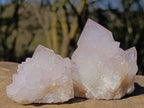 Natural Lilac Spirit Amethyst Clusters with Cactus Flower Formations x 12 From Boekenhouthoek, South Africa - Toprock Gemstones and Minerals 