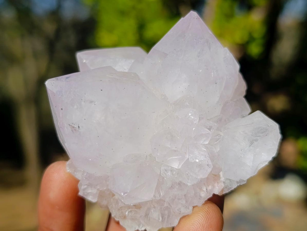 Natural Lilac Spirit Amethyst Clusters with Cactus Flower Formations x 12 From Boekenhouthoek, South Africa - Toprock Gemstones and Minerals 