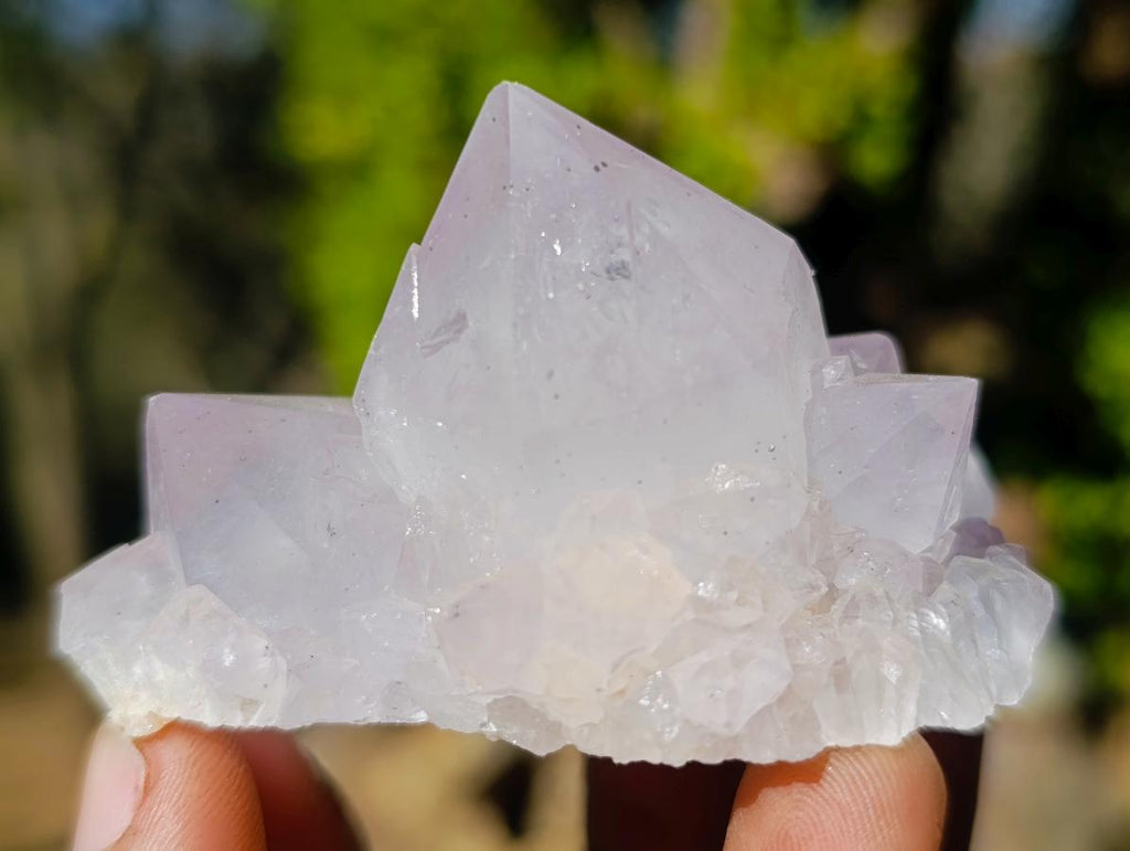 Natural Lilac Spirit Amethyst Clusters with Cactus Flower Formations x 12 From Boekenhouthoek, South Africa - Toprock Gemstones and Minerals 