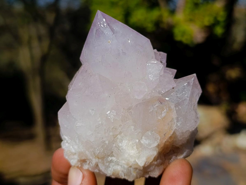Natural Lilac Spirit Amethyst Clusters with Cactus Flower Formations x 12 From Boekenhouthoek, South Africa - Toprock Gemstones and Minerals 