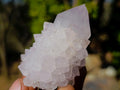 Natural Lilac Spirit Amethyst Clusters with Cactus Flower Formations x 12 From Boekenhouthoek, South Africa - Toprock Gemstones and Minerals 