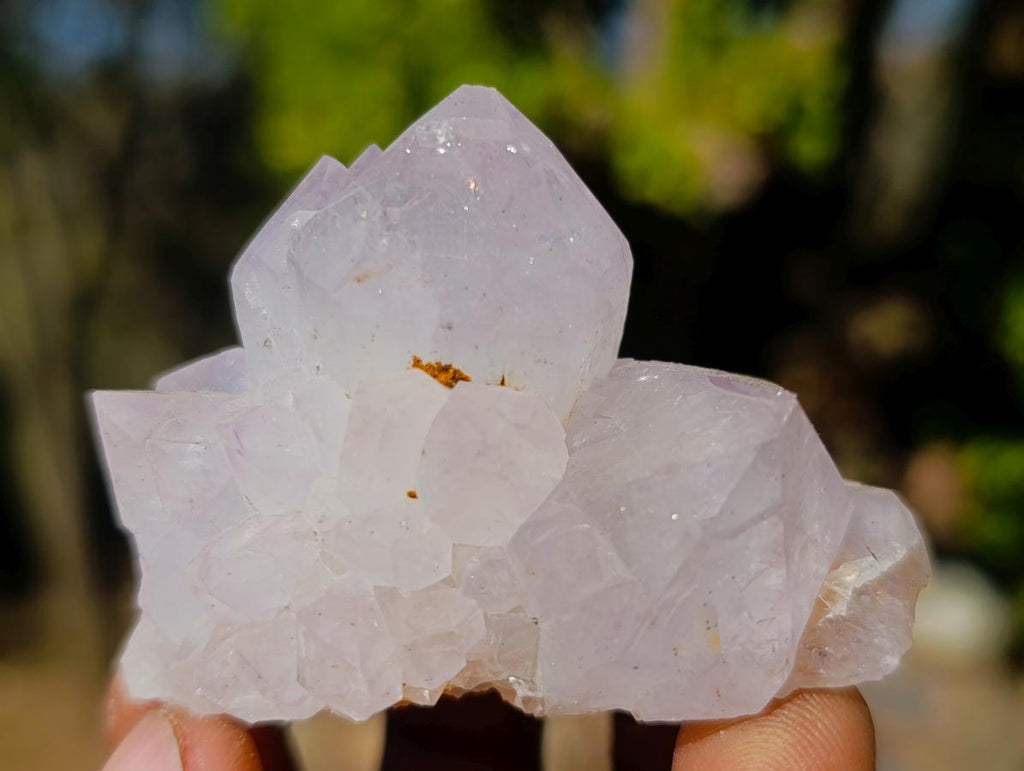 Natural Lilac Spirit Amethyst Clusters with Cactus Flower Formations x 12 From Boekenhouthoek, South Africa - Toprock Gemstones and Minerals 