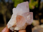 Natural Lilac Spirit Amethyst Clusters with Cactus Flower Formations x 12 From Boekenhouthoek, South Africa - Toprock Gemstones and Minerals 