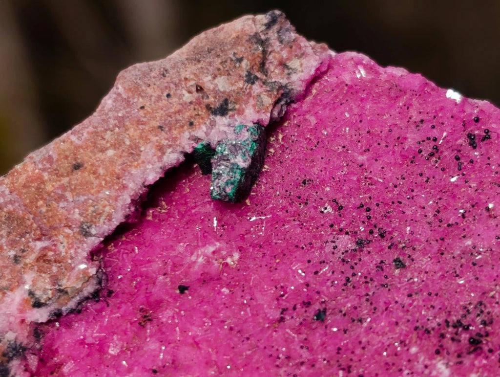 Natural Salrose Cobaltoan Dolomite Specimens with Heterogenite x 6 From Kakanda, Congo - Toprock Gemstones and Minerals 