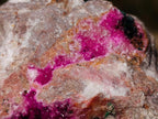 Natural Salrose Cobaltoan Dolomite Specimens with Heterogenite x 6 From Kakanda, Congo - Toprock Gemstones and Minerals 