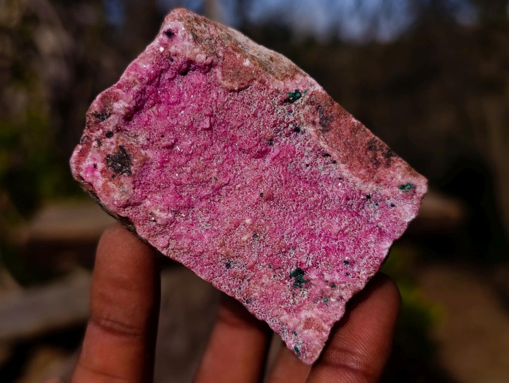 Natural Salrose Cobaltoan Dolomite Specimens with Heterogenite x 6 From Kakanda, Congo - Toprock Gemstones and Minerals 
