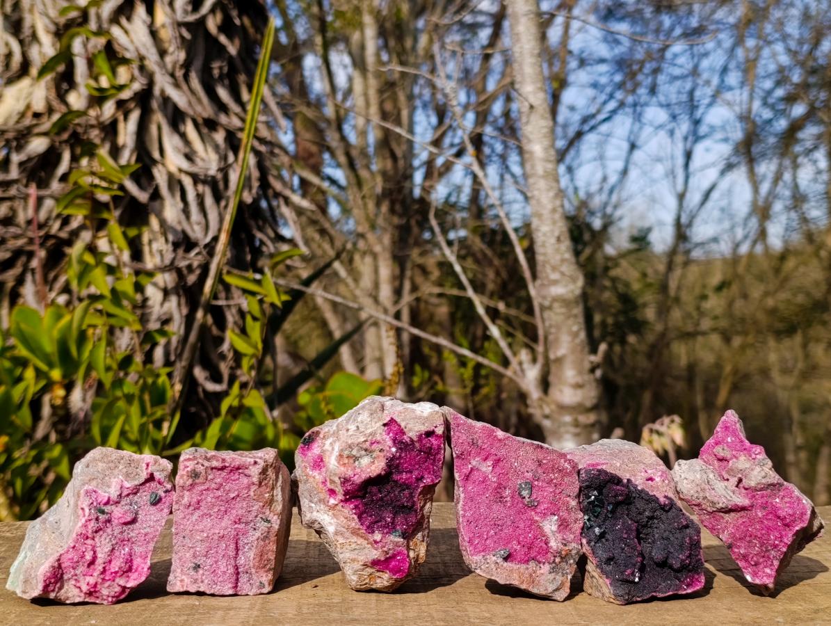 Natural Salrose Cobaltoan Dolomite Specimens with Heterogenite x 6 From Kakanda, Congo - Toprock Gemstones and Minerals 