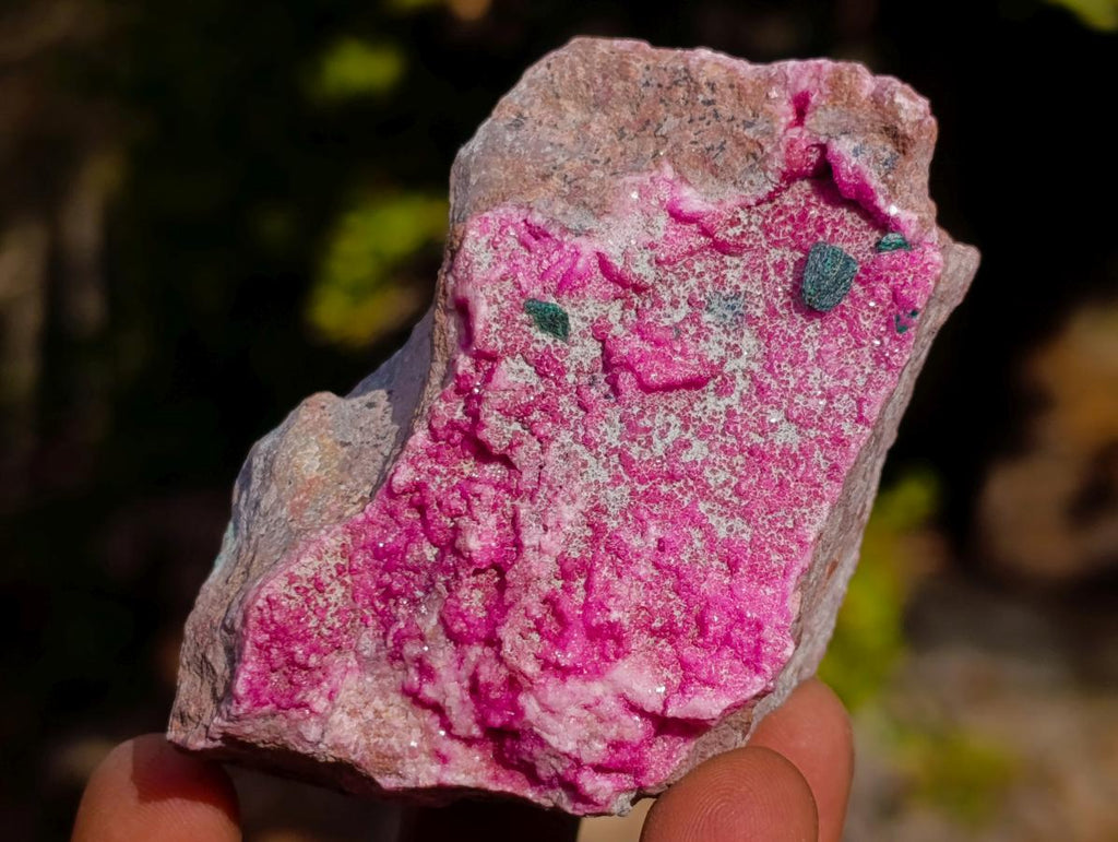 Natural Salrose Cobaltoan Dolomite Specimens with Heterogenite x 6 From Kakanda, Congo - Toprock Gemstones and Minerals 