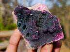 Natural Salrose Cobaltoan Dolomite Specimens with Heterogenite x 6 From Kakanda, Congo - Toprock Gemstones and Minerals 