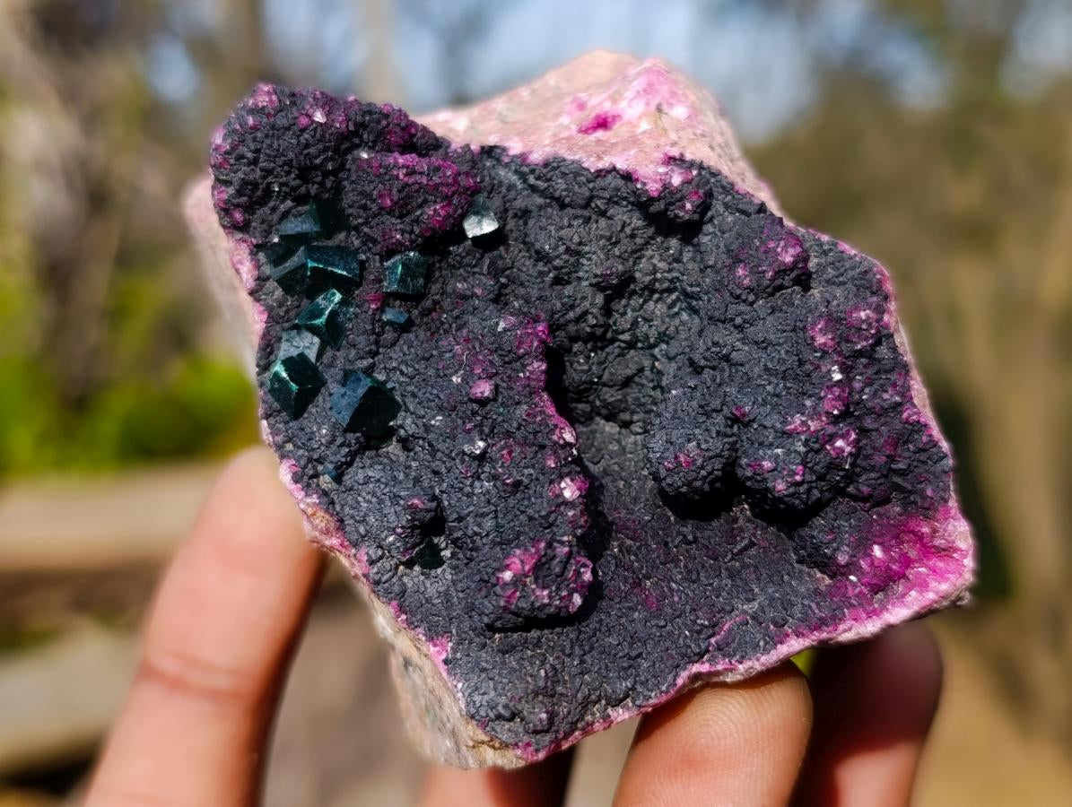 Natural Salrose Cobaltoan Dolomite Specimens with Heterogenite x 6 From Kakanda, Congo - Toprock Gemstones and Minerals 