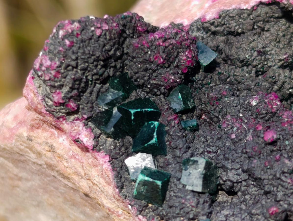 Natural Salrose Cobaltoan Dolomite Specimens with Heterogenite x 6 From Kakanda, Congo - Toprock Gemstones and Minerals 