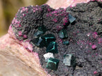 Natural Salrose Cobaltoan Dolomite Specimens with Heterogenite x 6 From Kakanda, Congo - Toprock Gemstones and Minerals 