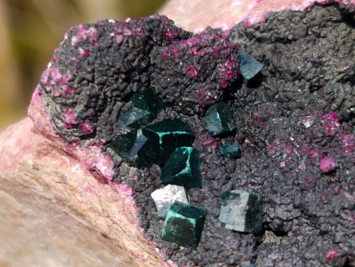 Natural Salrose Cobaltoan Dolomite Specimens with Heterogenite x 6 From Kakanda, Congo - Toprock Gemstones and Minerals 