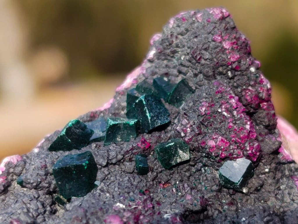 Natural Salrose Cobaltoan Dolomite Specimens with Heterogenite x 6 From Kakanda, Congo - Toprock Gemstones and Minerals 