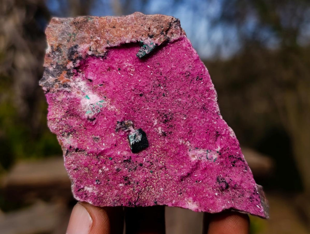 Natural Salrose Cobaltoan Dolomite Specimens with Heterogenite x 6 From Kakanda, Congo - Toprock Gemstones and Minerals 