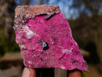Natural Salrose Cobaltoan Dolomite Specimens with Heterogenite x 6 From Kakanda, Congo - Toprock Gemstones and Minerals 
