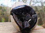Polished and Natural Septerye Sauvage "Dragons Egg" Geodes x 2 From Mahajanga, Madagascar - Toprock Gemstones and Minerals 