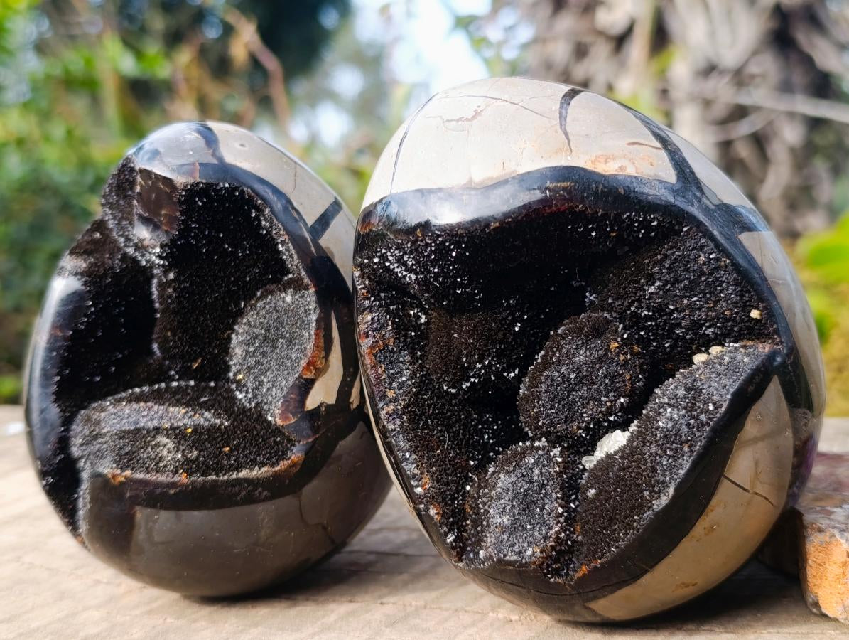 Polished and Natural Septerye Sauvage "Dragons Egg" Geodes x 2 From Mahajanga, Madagascar - Toprock Gemstones and Minerals 