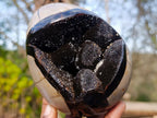 Polished and Natural Septerye Sauvage "Dragons Egg" Geodes x 2 From Mahajanga, Madagascar - Toprock Gemstones and Minerals 
