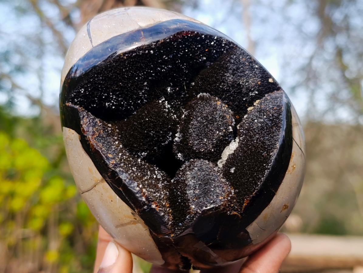 Polished and Natural Septerye Sauvage "Dragons Egg" Geodes x 2 From Mahajanga, Madagascar - Toprock Gemstones and Minerals 