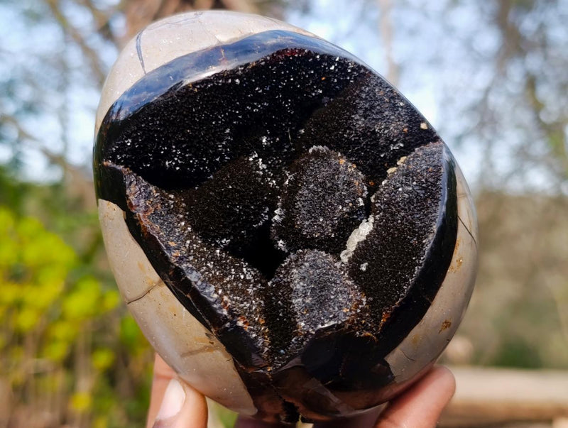 Polished and Natural Septerye Sauvage "Dragons Egg" Geodes x 2 From Mahajanga, Madagascar - Toprock Gemstones and Minerals 