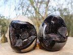 Polished and Natural Septerye Sauvage "Dragons Egg" Geodes x 2 From Mahajanga, Madagascar - Toprock Gemstones and Minerals 