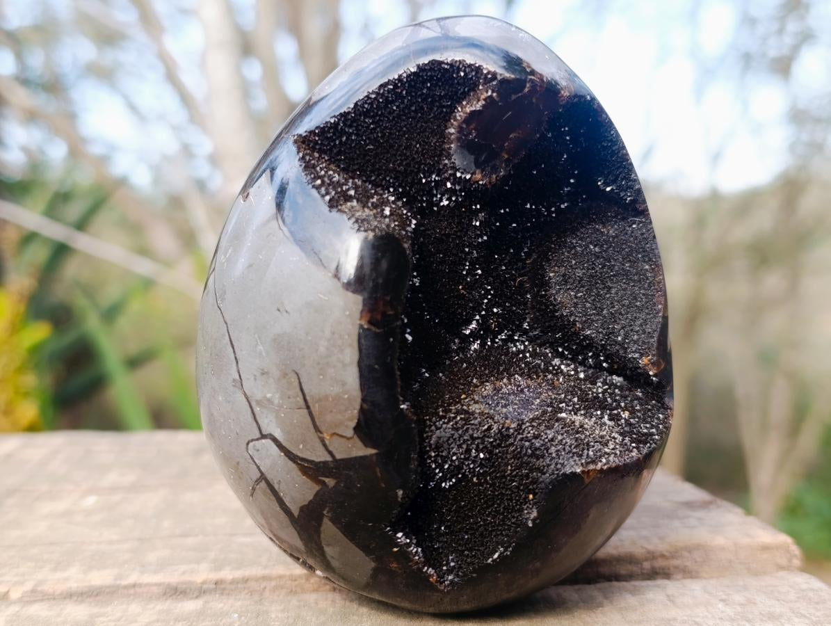 Polished and Natural Septerye Sauvage "Dragons Egg" Geodes x 2 From Mahajanga, Madagascar - Toprock Gemstones and Minerals 