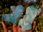 Polished One Side Mtorolite Chrysoprase Plates x 12 From Mutorashanga, Zimbabwe - Toprock Gemstones and Minerals 