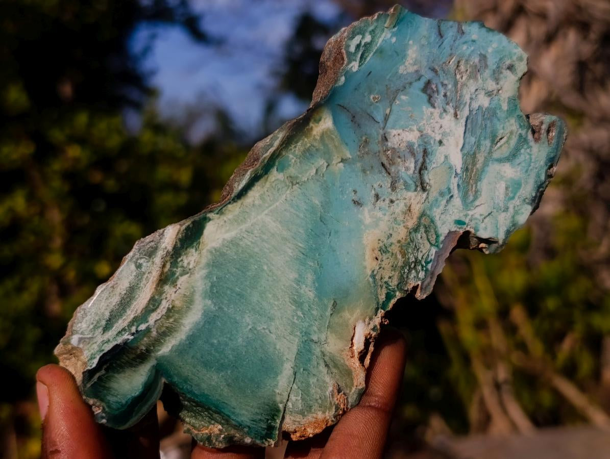 Polished One Side Mtorolite Chrysoprase Plates x 12 From Mutorashanga, Zimbabwe - Toprock Gemstones and Minerals 