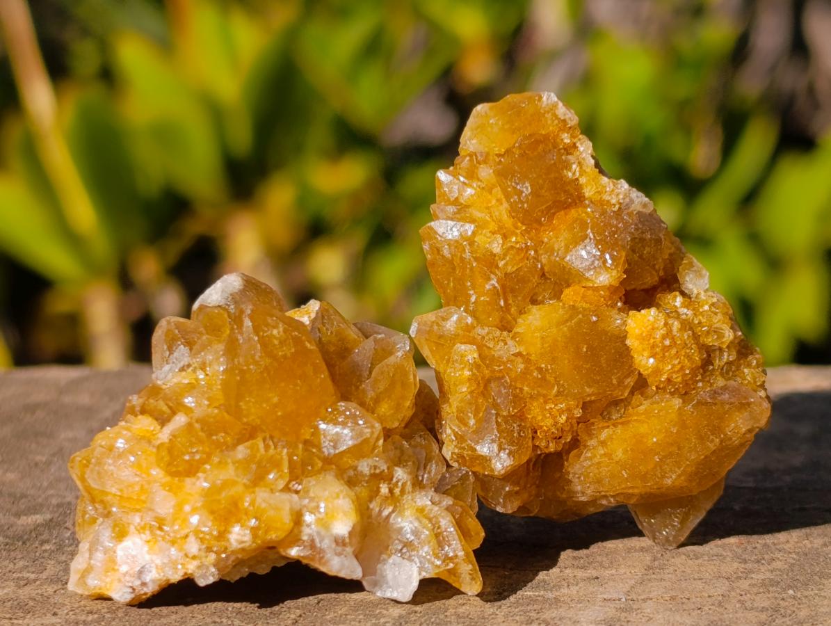 Natural Golden Limonite Quartz Clusters x 70  From Solwezi, Zambia - Toprock Gemstones and Minerals 