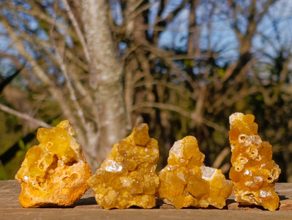 Natural Golden Limonite Quartz Clusters x 70  From Solwezi, Zambia - Toprock Gemstones and Minerals 