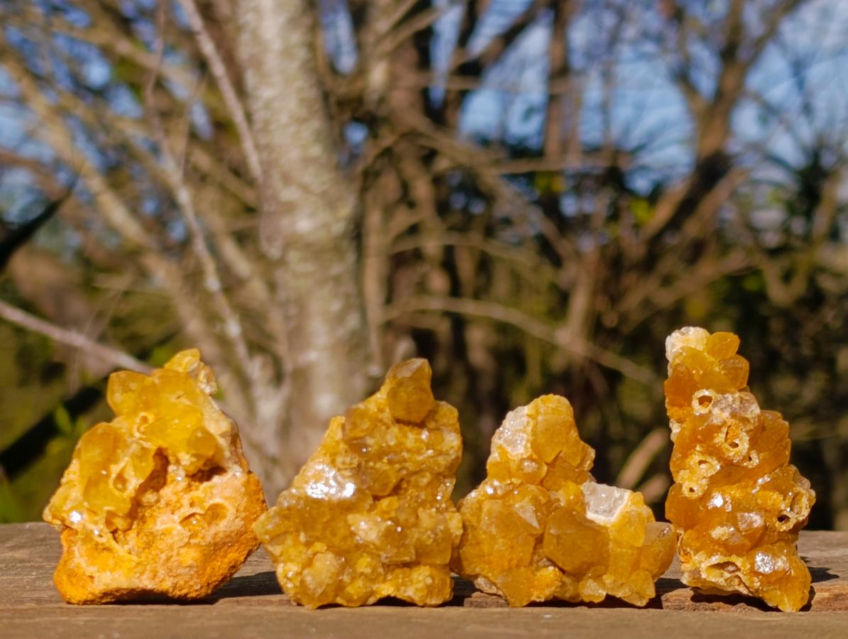 Natural Golden Limonite Quartz Clusters x 70  From Solwezi, Zambia - Toprock Gemstones and Minerals 