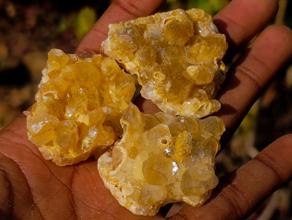 Natural Golden Limonite Quartz Clusters x 70  From Solwezi, Zambia - Toprock Gemstones and Minerals 