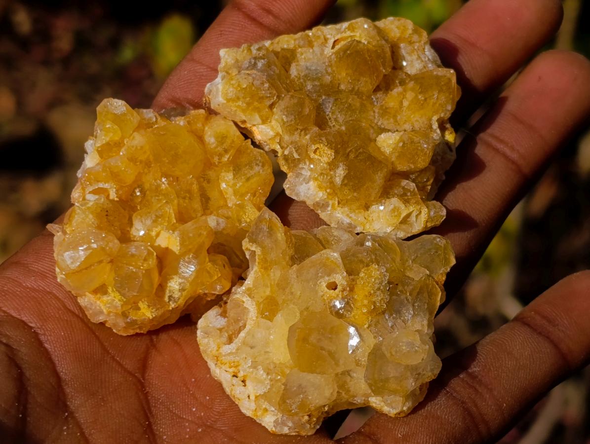 Natural Golden Limonite Quartz Clusters x 70  From Solwezi, Zambia - Toprock Gemstones and Minerals 