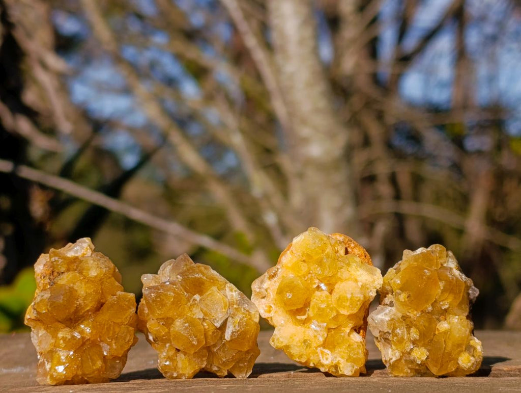 Natural Golden Limonite Quartz Clusters x 70  From Solwezi, Zambia - Toprock Gemstones and Minerals 